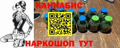 индика Гай