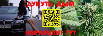 индика Гай