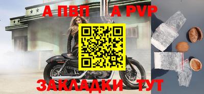 индика Гай