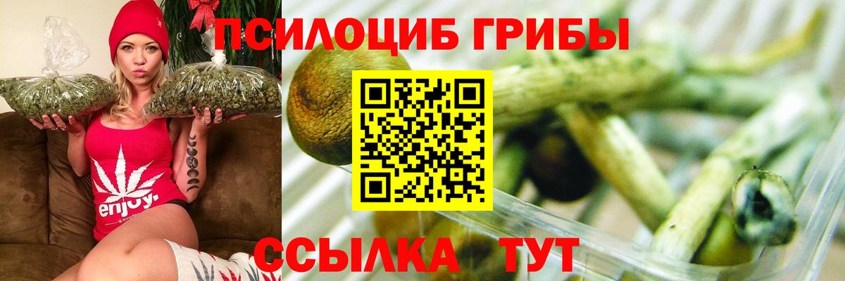 Галлюциногенные грибы прущие грибы  Вход с VPN  Нововоронеж  Галлюциногенные грибы Cubensis 